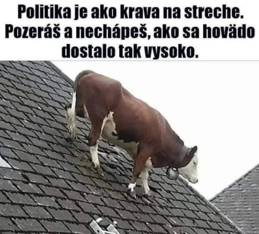 Tomáš Taraba originál